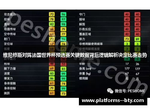维尼修斯对阵法国世界杯预选赛关键数据背后逻辑解析决定比赛走势 维尼修斯对阵法国世界杯预选赛关键数据背后逻辑解析决定比赛走势