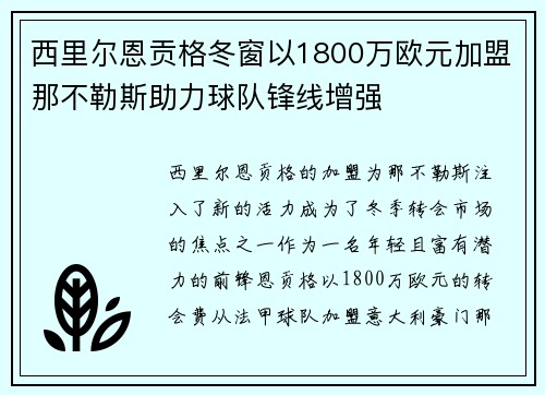 西里尔恩贡格冬窗以1800万欧元加盟那不勒斯助力球队锋线增强